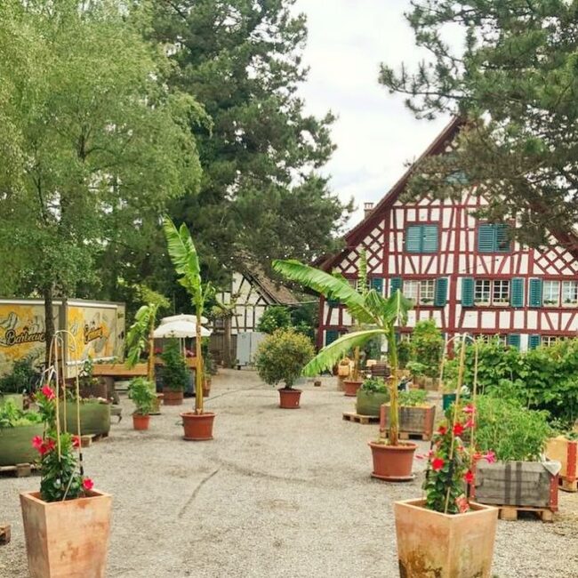 Restaurant_Frohsinn_Garten