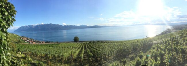 LacLeman