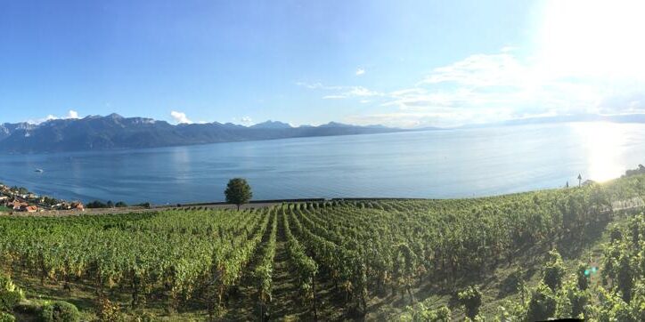 LacLeman
